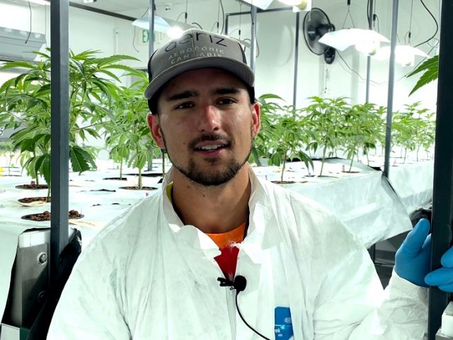 Two-day Job Fair in partnership with local cannabis grower aeriz announced