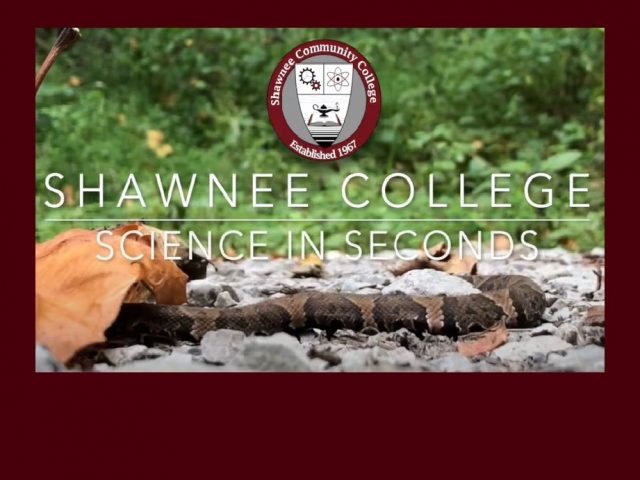 SCC Releases 42nd episode of their Science in Seconds web series